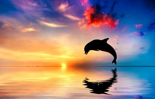 Картинка закат, дельфин, отражение, океан, прыжок, силуэт