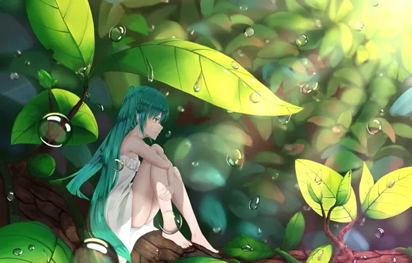 Картинка листья, девушка, аниме, арт, hatsune miku, Vocaloid, Вокалоид
