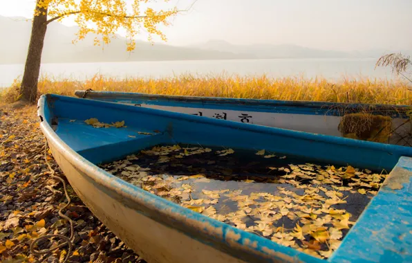 Картинка осень, листья, лодки