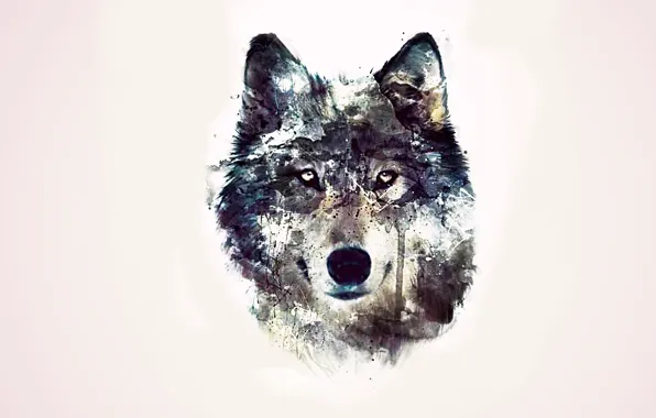 Картинка глаза, фон, абстракции, волк