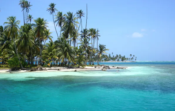Картинка острова, тропики, пальмы, океан, экзотика, San Blas Islands