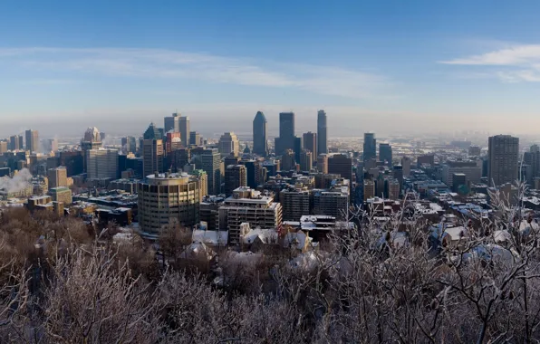 Картинка зима, снег, деревья, Монреаль, канада
