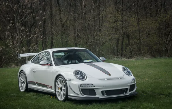 Картинка 911, Porsche, white, 4.0