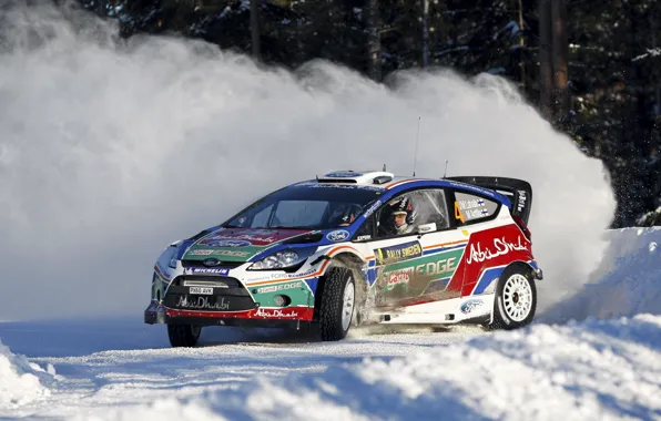 Картинка Ford, Зима, Снег, Скорость, Fiesta, World Rally Car