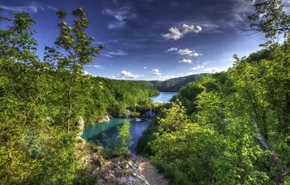 Картинка лес, деревья, панорама, Хорватия, озёра, Croatia, Плитвицкие озёра, Plitvice Lakes National Park, Национальный парк Плитвицкие …
