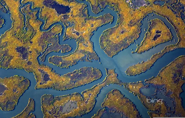 Картинка река, остров, болото, США, New Jersey, Cape May Peninsula