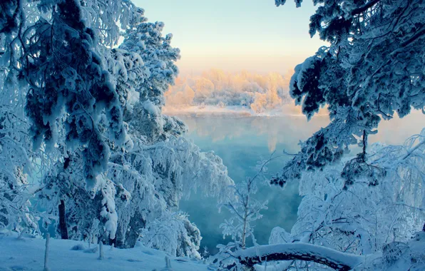 Картинка зима, лес, снег, сказка