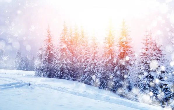 Картинка зима, снег, деревья, пейзаж, горы, природа