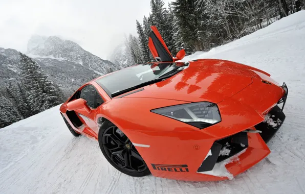 Картинка снег, спорткар, ракурс, моська, Lamborghini Aventador LP700-4