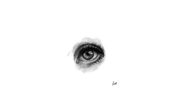 Картинка глаз, ресницы, рисунок, зрачок, eye, око, leeR