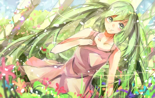 Картинка лето, цветы, улыбка, луг, Hatsune Miku, Vocaloid, длинные волосы, сарафан
