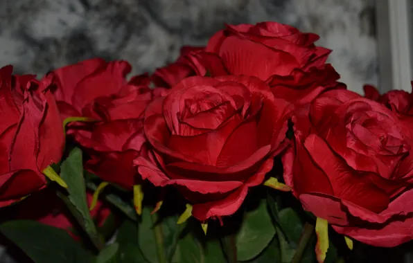 Картинка розы, красные, много