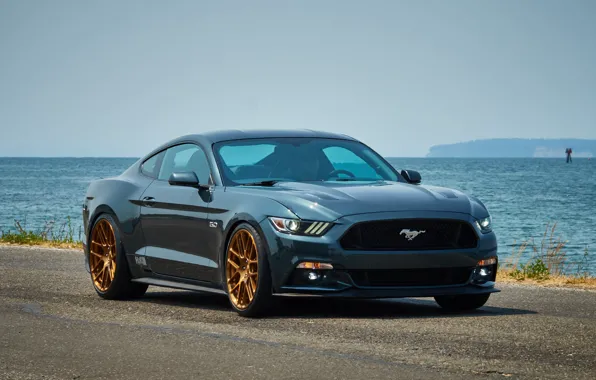 Картинка Mustang, Ford, Wheels, Forgeline, SE1