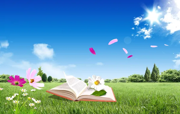 Картинка небо, листья, цветы, книга, книжка, облака голубая