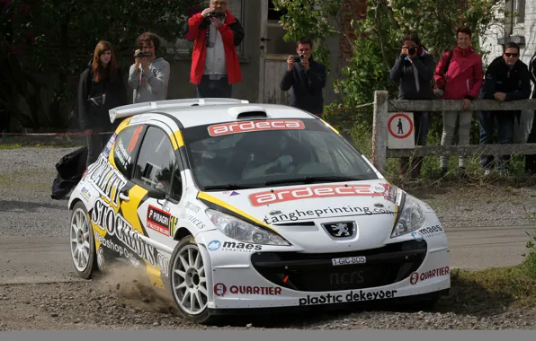 Картинка Пыль, Peugeot, Rally, 207