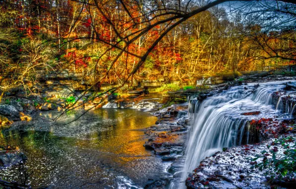 Картинка осень, лес, деревья, река, камни, листва, водопад, перекаты, желто-красно-зеленая