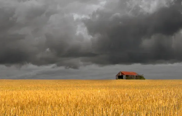 Картинка поле, буря, амбар, ферма, серые облака