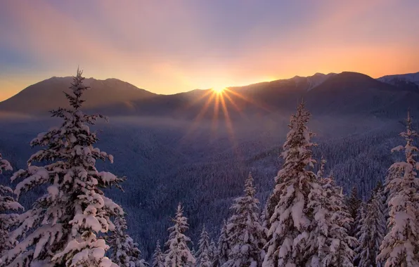 Картинка зима, закат, природа, елки, мороз, красивый, снегу., лесогорье