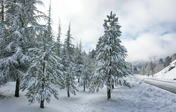 Картинка зима, дорога, лес, снег, деревья, forest, road, trees, winter, snow, frost, fir