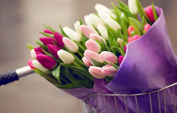 Картинка капли, цветы, велосипед, букет, тюльпаны, bike, flowers, tulips, drops, bouquet