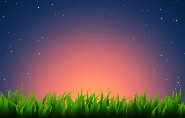 Картинка трава, звезды, закат