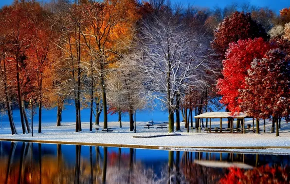 Картинка зима, иней, осень, листья, вода, снег, деревья, пейзаж, пруд, парк, багрянец