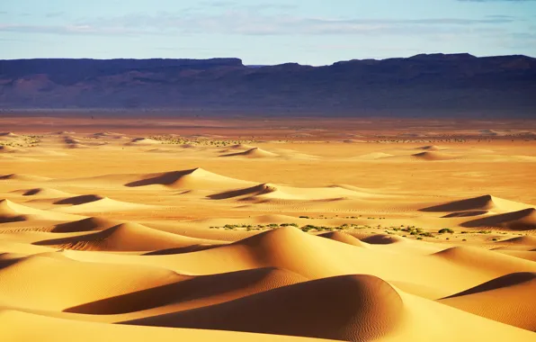 Картинка песок, небо, барханы, холмы, пустыня, текстура, дюны