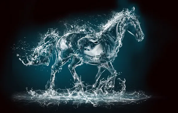 Картинка вода, брызги, рендеринг, животное, лошадь
