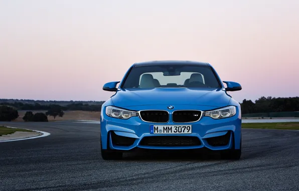 Картинка BMW, Sedan, 2015