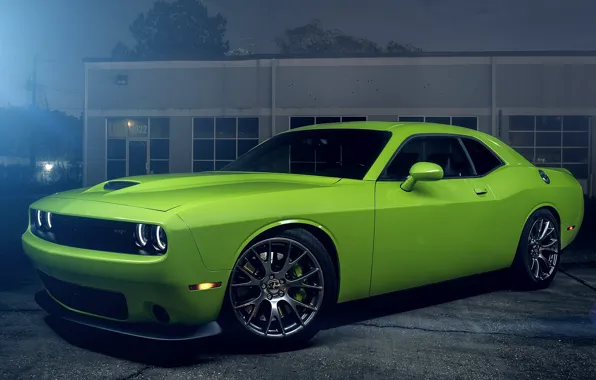 Картинка Muscle, Dodge, Challenger, Hell, Car, Green, Color, Cat, American, SRT