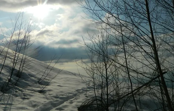 Картинка зима, небо, облака, снег, природа, мороз, Nature, sky, winter, clouds, snow, frost