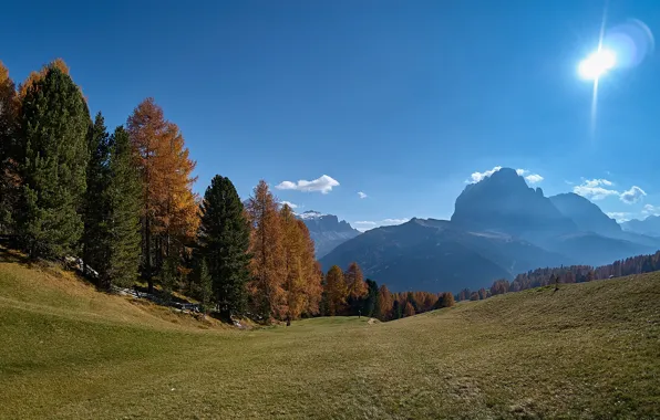 Картинка осень, лес, небо, солнце, деревья, горы, склон, Альпы, Италия, Южный Тироль, Доломиты, Сассолунго