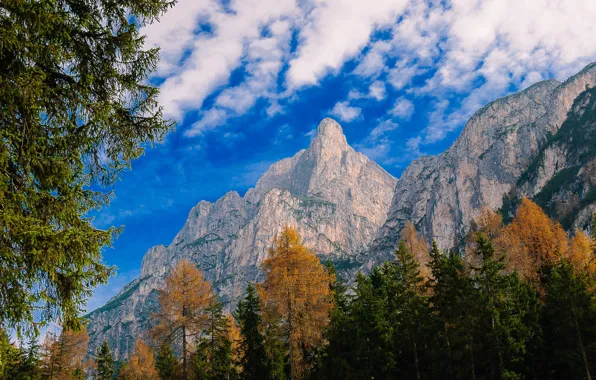 Картинка осень, деревья, горы, Италия, Трентино-Альто-Адидже, Зюдтироль