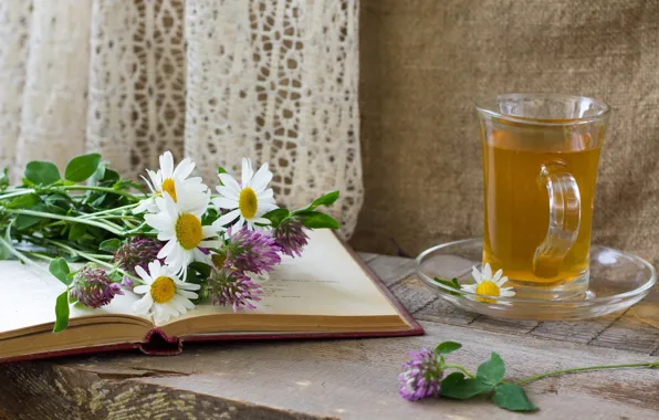 Картинка цветы, чай, ромашки, лук, чашка, книга, блюдце, аллиум