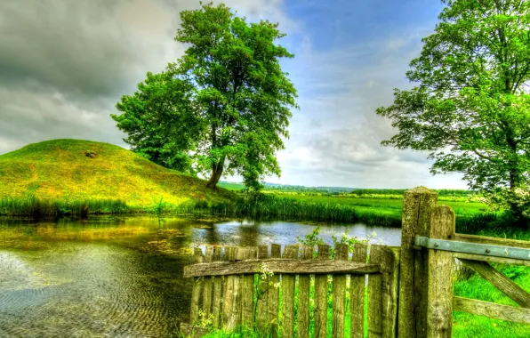 Картинка зелень, поле, лето, небо, трава, облака, деревья, пруд, камыши, забор, hdr