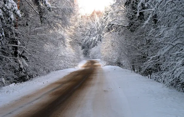 Картинка зима, дорога, лес, снег, деревья, природа, дороги, фотографии