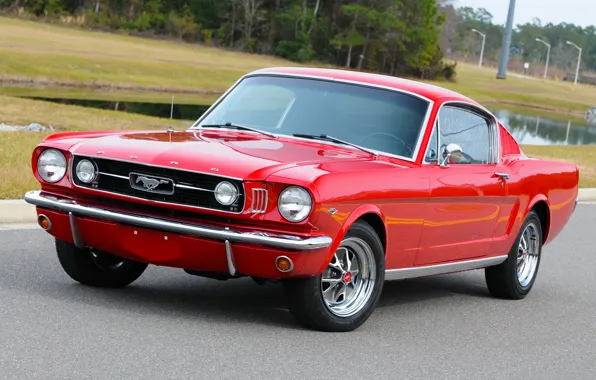 Картинка Mustang, Fastback, '1966