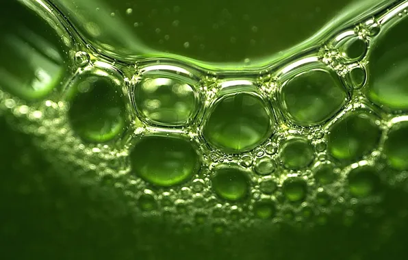 Картинка зелень, отражение, пузыри