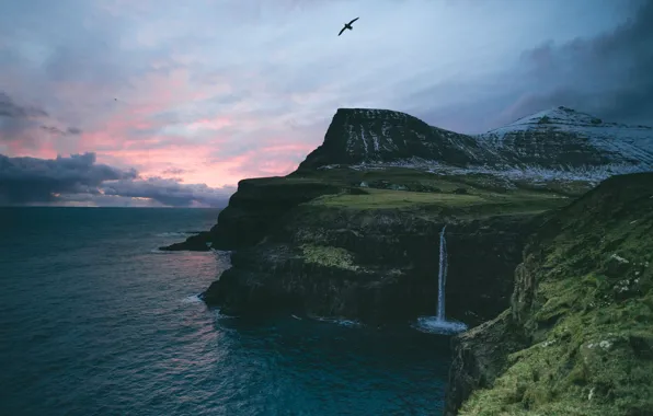 Картинка море, горы, океан, скалы, птица, водопад, деревушка, Фарерские острова