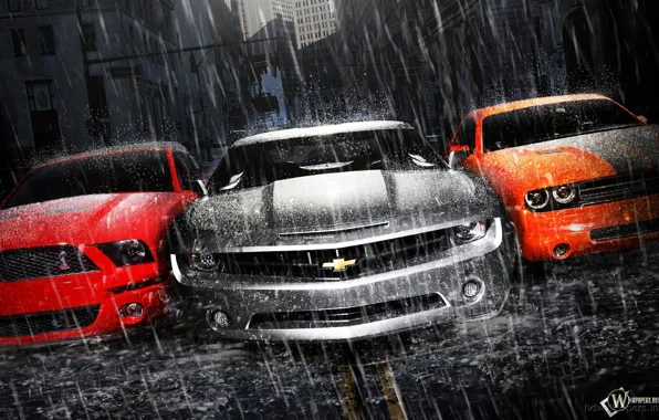 Картинка Дождь, Асфальт, Ford Mustang, Dodge Challenger, Суперкар, Chevrolet Camaro