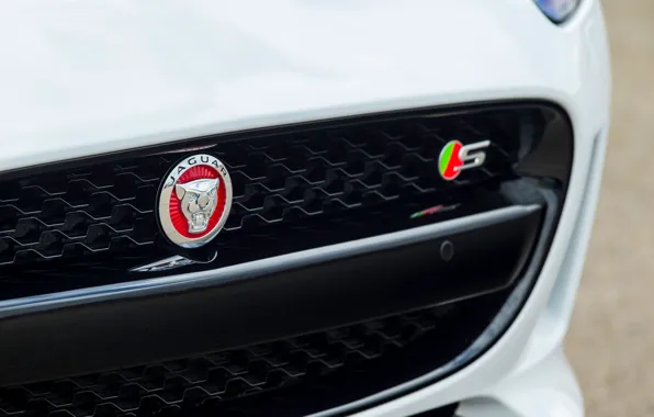 Картинка дизайн, купе, логотип, Ягуар, спорткар, бампер, Jaguar F-Type Coupe 2014, V6-S