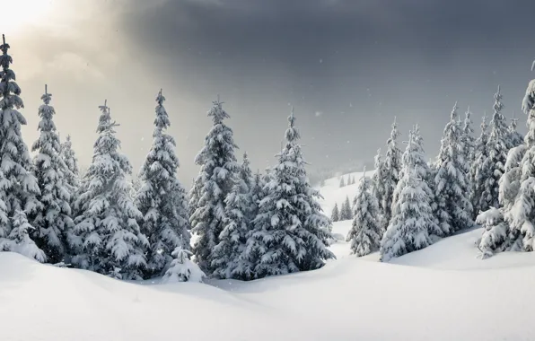 Картинка зима, снег, елки, landscape, winter, snow