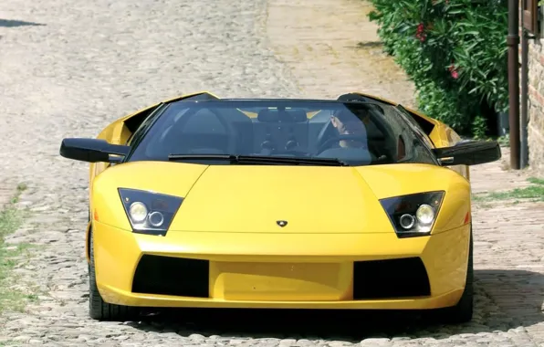 Картинка Lamborghini, yellow, sport car, front view
