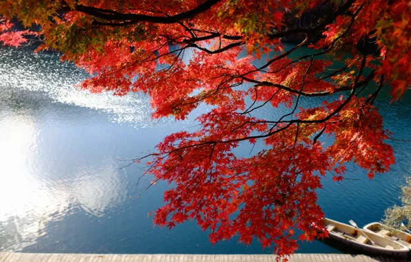Картинка осень, ветки, озеро, пристань, лодки, Япония, Japan, клён, Фукусима, Fukushima, Bandai, японский клён, озеро Бишамон, …