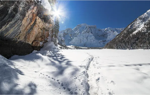 Картинка солнце, снег, деревья, горы, природа