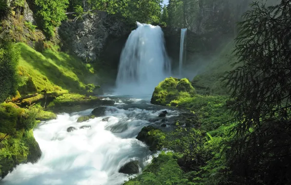 Картинка лес, лето, вода, природа, камни, водопад