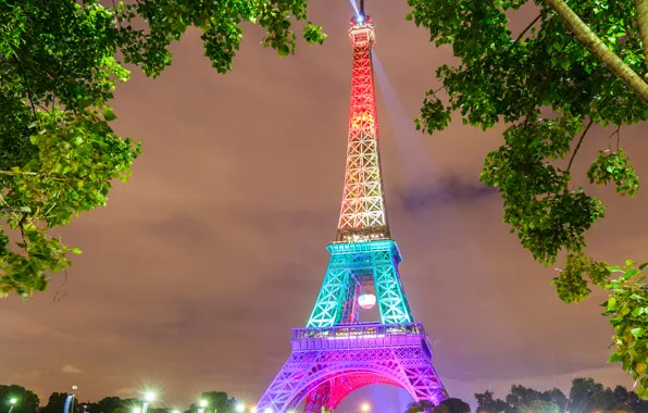 Картинка деревья, ночь, огни, Франция, Париж, Эйфелева башня