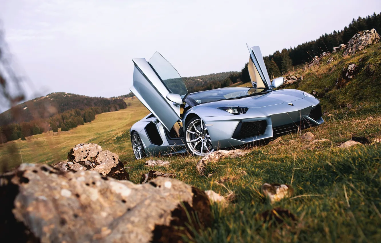 Фото обои Roadster, Lamborghini, Nature, Front, LP700-4, Aventador, Supercars, Silver, Door