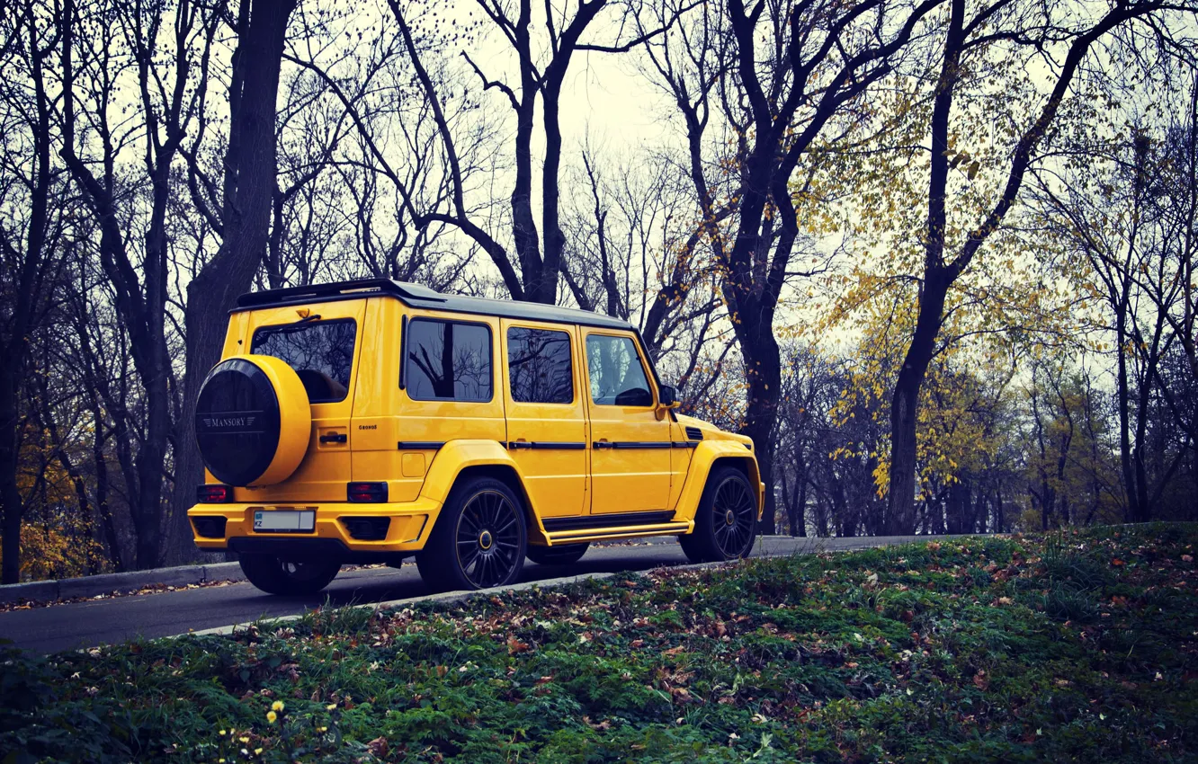 Фото обои Желтый, Осень, Мерседес, Mercedes Benz, Внедорожник, G63, MANSORY GRONOS