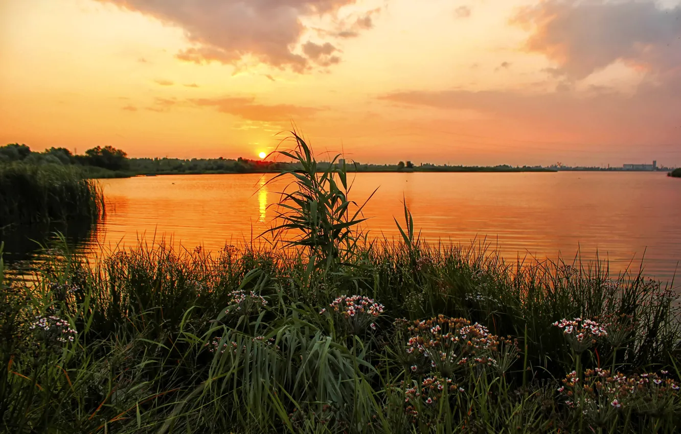 Фото обои трава, закат, цветы, река, берег, Россия, Урал
